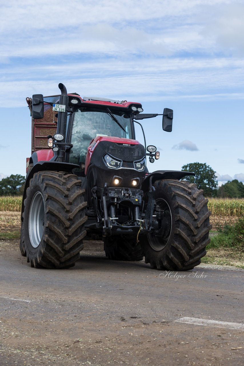 Bild 147 - Maisernte